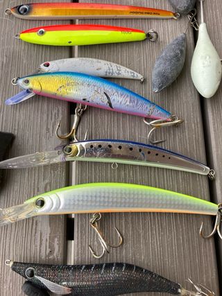 Lotes de pesca y señuelos variados