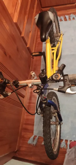 Bicicleta Niño@ de 20"