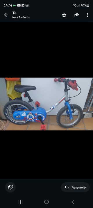 Bicicleta con ruedines