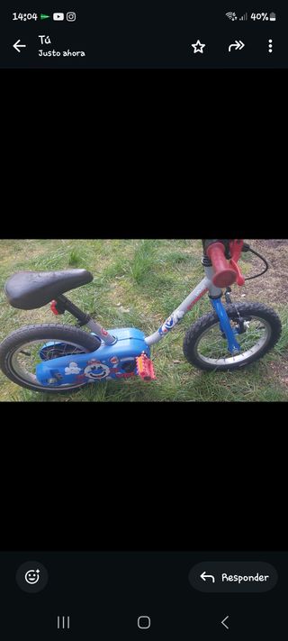 Bicicleta con ruedines