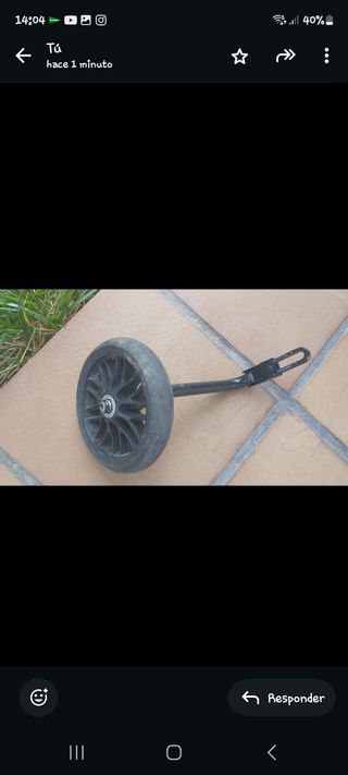 Bicicleta con ruedines