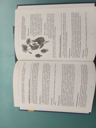 MEDICINA TRADICIONAL Y ALTERNATIVA