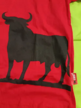 Conjunto Verano Niño Talla 10 Toro