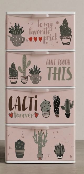 Cajonera de plástico con cactus