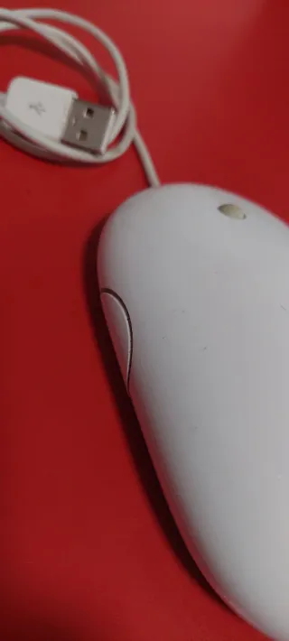 Ratón Apple USB Blanco