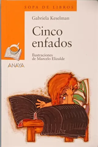 Libro Infantil Cinco Enfados