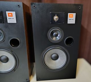 Coppia Diffusori JBL TLX 8