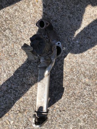 Válvula EGR Iveco 2020