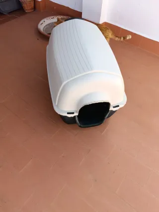 Caseta Perro Resistente Material Bueno