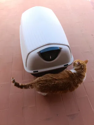 Caseta Perro Resistente Material Bueno