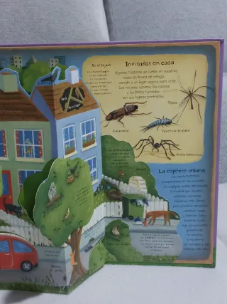 Pack libros curiosidades sobre animales