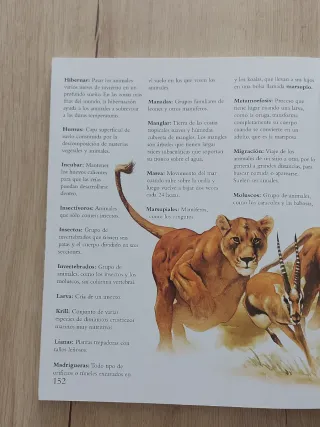 Pack libros curiosidades sobre animales