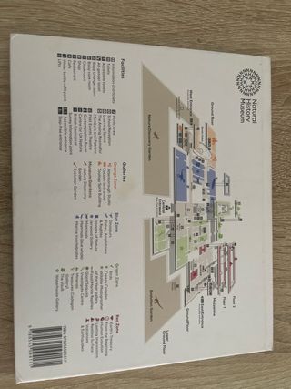 Kids Only Fun Facts and Activities for Young Ex...