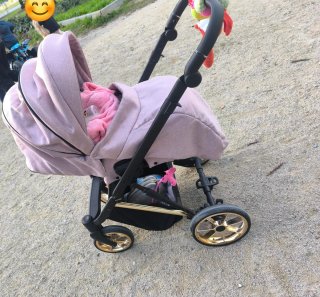 Carro de bebé rosa