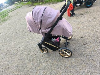 Carro de bebé rosa