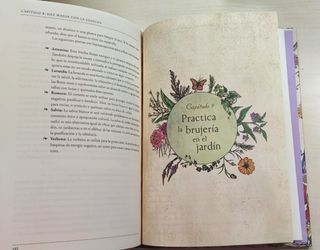 libro El jardín de la bruja verde
