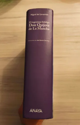Libro Don Quijote de La Mancha ilustrado