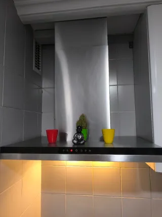 Campana extractora de cocina