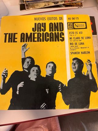 Lote discos de vinilo