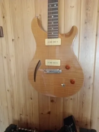 Guitarra PRS SE Custom