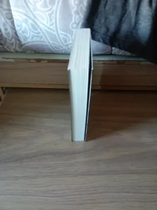 Libro Laila Winter y los Señores de los Vientos