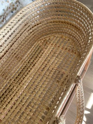 Moisés Minicoton Completo