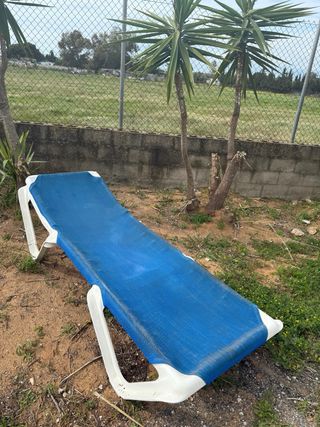 Tumbonas Piscina (22 unidades)