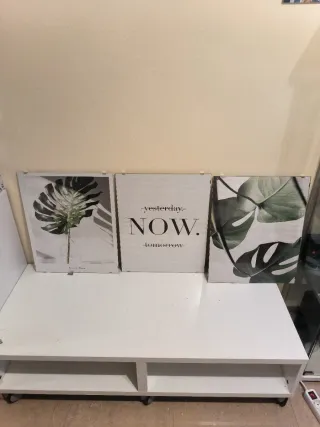 Láminas decorativas Monstera (Set de 3)