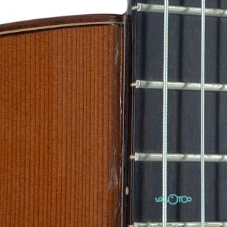 GUITARRA CLÁSICA ALHAMBRA 5P CW E2