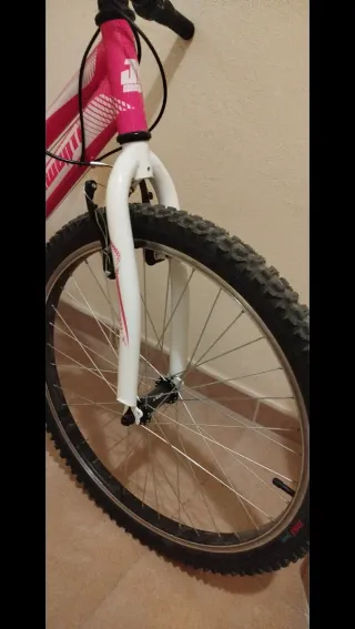 Bicicleta Niña Rosa