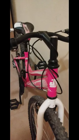 Bicicleta Niña Rosa
