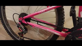 Bicicleta Niña Rosa