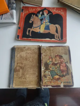 Libros antiguos saturnino Calleja