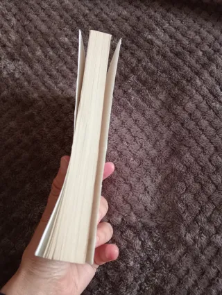 Delicatesse (French Edition)