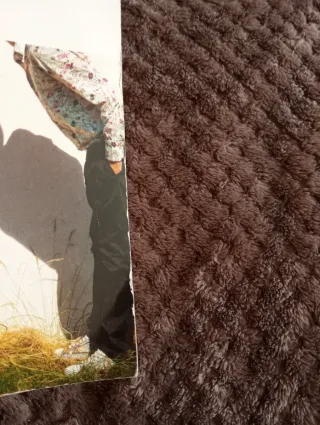 Delicatesse (French Edition)