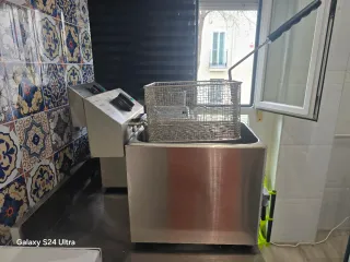 Freidora Profesional 9L