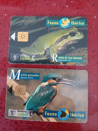 🇪🇦 15 Schede Telefoniche Fauna Iberica