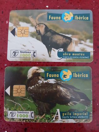🇪🇦 15 Schede Telefoniche Fauna Iberica