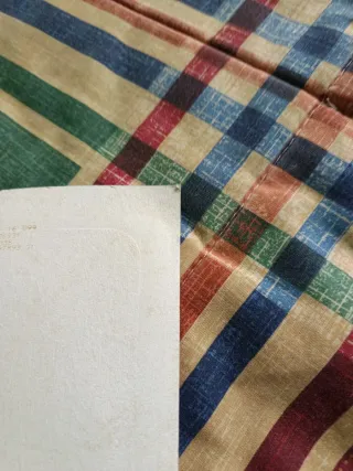 Playmobil Músico Violín y Arco