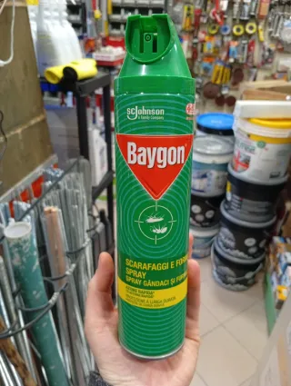 Baygon Spray Insetticida Scarafaggi e Formiche