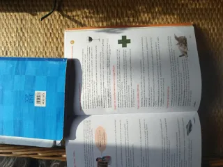 Asterisco 4. Caja de herramientas (Nueva edició...