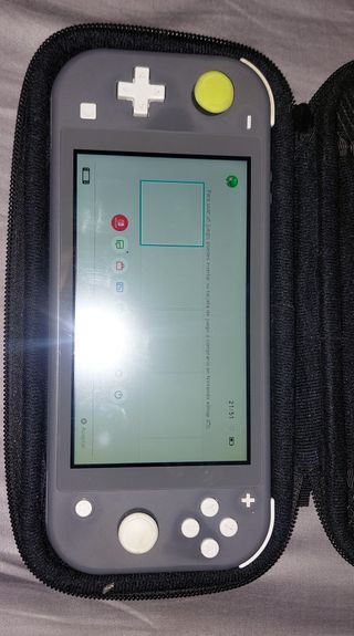 Nintendo Switch Lite Gris