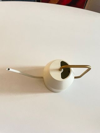 Regadera IKEA Diseño Moderno Blanca y Dorada