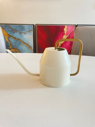 Regadera IKEA Diseño Moderno Blanca y Dorada