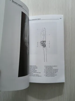 Anatomia Radiologica (Spanish Edition)