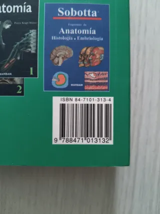 Anatomia Radiologica (Spanish Edition)