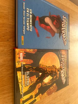 El asombroso Spiderman y El otro