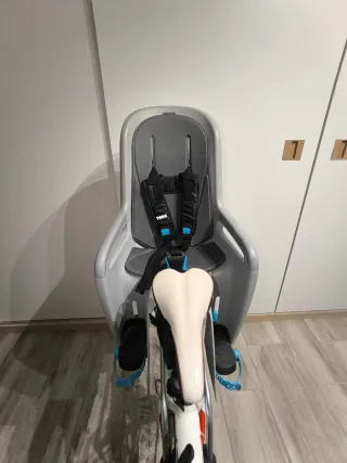 Thule RideAlong Sillita Bici Niños