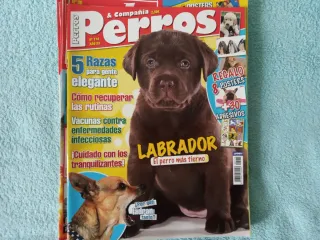 8 Revistas de Perritos