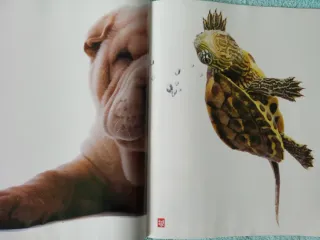 8 Revistas de Perritos
